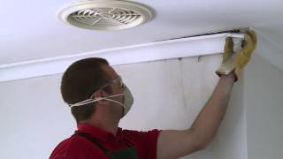 How To Remove Cornice  DIY At Bunnings [upl. by Maddalena375]