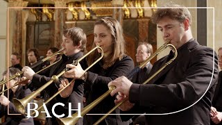 Bach  Sinfonia from Cantata BWV 29  Netherlands Bach Society [upl. by Richardo]