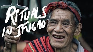 RITUAL IN IFUGAO RICE TERRACES [upl. by Garrek]