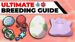 ULTIMATE Breeding Guide Perfect IVs EVs Natures Hidden Abilities  Pokémon Sword amp Shield [upl. by Voltz253]