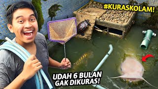 KURAS KOLAM SETELAH 6 BULAN GAK DIKURAS [upl. by Airat]