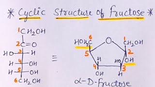 Cyclic Structure of Fructose  Biomolecules  JEE NEET [upl. by Anitnegra]