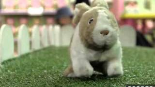 Hamleys  Rockin Rabbit [upl. by Darcee]