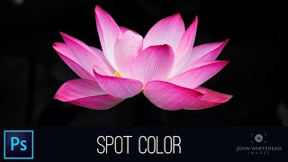 Spot Color in Adobe Photoshop [upl. by Vijar554]