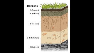 Weathering and Soil Formation [upl. by Rashida619]