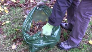 7 Ways to Use Leaves in Your Garden [upl. by Luhar]