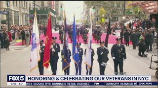 NYC Veterans Day Parade [upl. by Nyleuqcaj]