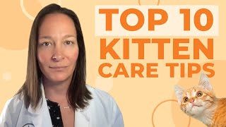 Top 10 Kitten Care Tips According to a Veterinarian [upl. by Katlaps834]