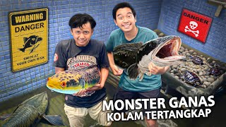 MONSTER GANAS KOLAM TERPAKSA DITANGKAP BERANTEM TERUS [upl. by Willin]