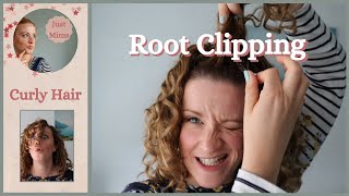 ROOT CLIPPING How to root clip curly hair and why [upl. by Yseult631]