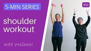 Shoulder Workout  Seniors Beginners [upl. by Ias]