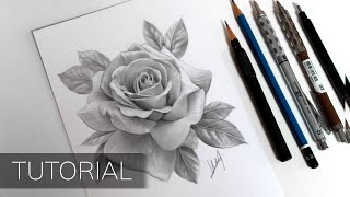 Tutorial  How to Draw a Realistic Rose [upl. by Kazue155]