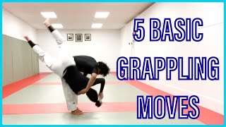 5 basic grappling techniques [upl. by Lateehs]