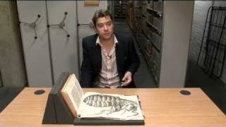 Treasures of the Bodleian Robert Hookes Micrographia [upl. by Elleina]