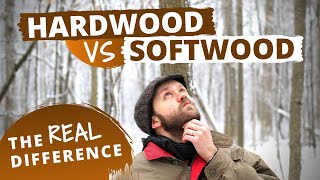 The Actual Difference Between Hardwood and Softwood [upl. by Agnesse]