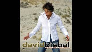 David Bisbal  Llorare las Penas [upl. by Ardnahcal]