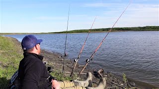 How to Catch MORE Catfish Bank Fishing [upl. by Aerdnac]