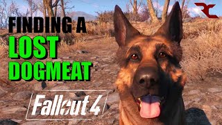 Fallout 4  How to Find a Lost DogmeatCompanion Fallout 4 Guides [upl. by Ardnaet]