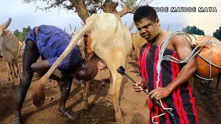 The Remarkable Mundari Tribe Of South Sudan Showers with Cow Urine [upl. by Bena964]