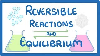 GCSE Chemistry  Reversible Reactions and Equilibrium [upl. by Vachell904]