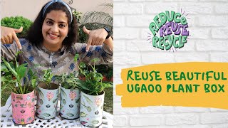 DIY Planter  Reuse Ugaoo Plant Box  Best Out of Waste  Reuse Beautiful Ugaoo Plant Box Shorts [upl. by Lered]