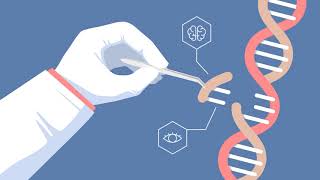 Crispr Cas9 Genome Editing System [upl. by Salohcin]