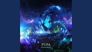 PUPA [upl. by Daas]