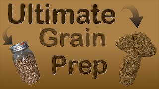 How to Make Sterilized Rye Grain Spawn for Growing Mushrooms [upl. by Ysus]