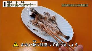 魚を上手に食べよう！（魚の食べ方マナー） [upl. by Langdon]