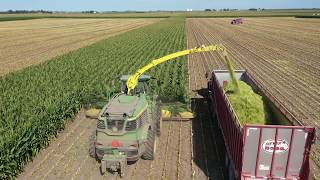 24000 tons of Corn Silage in 6 days [upl. by Nolrac]