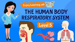 The Human Body Respiratory System  Science  Grade 5  TutWay [upl. by Miarhpe]