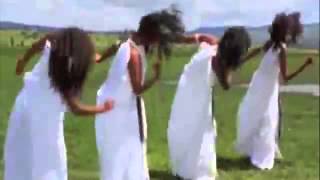 New OromoOromia Music quotShaggooyyeequot Taaddalaa Gammachuu [upl. by Acsirp]