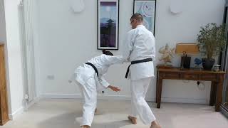 Okinawan Traditional Goju ryu Karate do demonstration [upl. by Haneen]