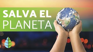 Cómo CUIDAR el MEDIO AMBIENTE ♻️ 5 TIPS ¡DEFINITIVOS [upl. by Emerick]