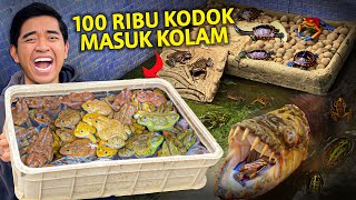 MASUKIN 100RIBU KODOK KE KOLAM LANGSUNG DISERBU MONSTER [upl. by Hairacaz]