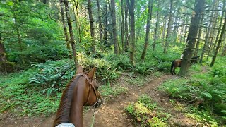 Horse Trail ride on a difficult singletrack trail [upl. by Etrem450]