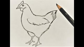 How to draw a Chicken Hen  Easy Pencil Drawing [upl. by Adnahcal207]