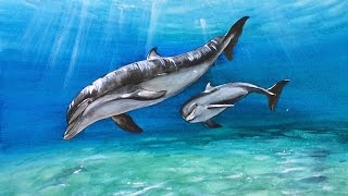 Watercolor Dolphins Painting Demonstration [upl. by Kirby]