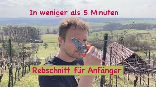 Rebschnitt für Anfänger [upl. by Ginny]