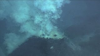 Underwater Vents and Volcanoes [upl. by Range]