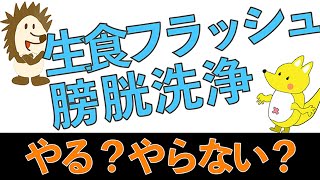 【いまさら聞けない6】膀胱洗浄？生食フラッシュ？ [upl. by Ateuqal]