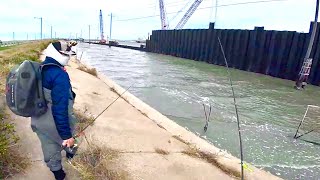 4 EASY BANK FISHING SPOTS in Galveston TX Maps amp Coordinates Provided Fish for FREE [upl. by Aidyn]