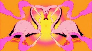 Flamingosis  Nebula Gazer Visualizer [upl. by Skeie253]