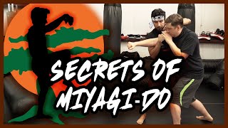 MiyagiDos Secret Weapon  Cobra Kai Breakdown [upl. by Loni]