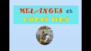 Mélanges et corps purs [upl. by Enram]