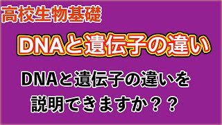 高校生物基礎「DNAと遺伝子の違い」 [upl. by Lieberman]