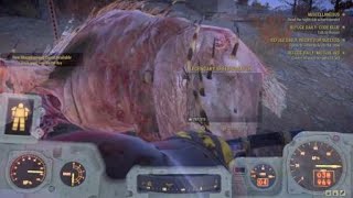 Fallout 76 ☢️ Legendary Sheepsquatch Killed [upl. by Teddman660]