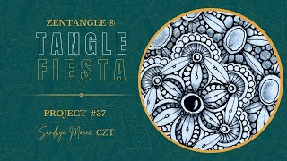 Tangles RUMPUS MOONPIE DAYZEE Tangle Fiesta 37 [upl. by Alton]