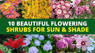 10 Beautiful Flowering Shrubs for Sun amp Shade  Lets Add Color to Your Garden 🌻 [upl. by Etnasa836]