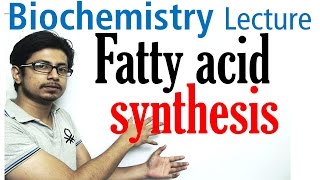 Fatty acid synthesis [upl. by Petrine]